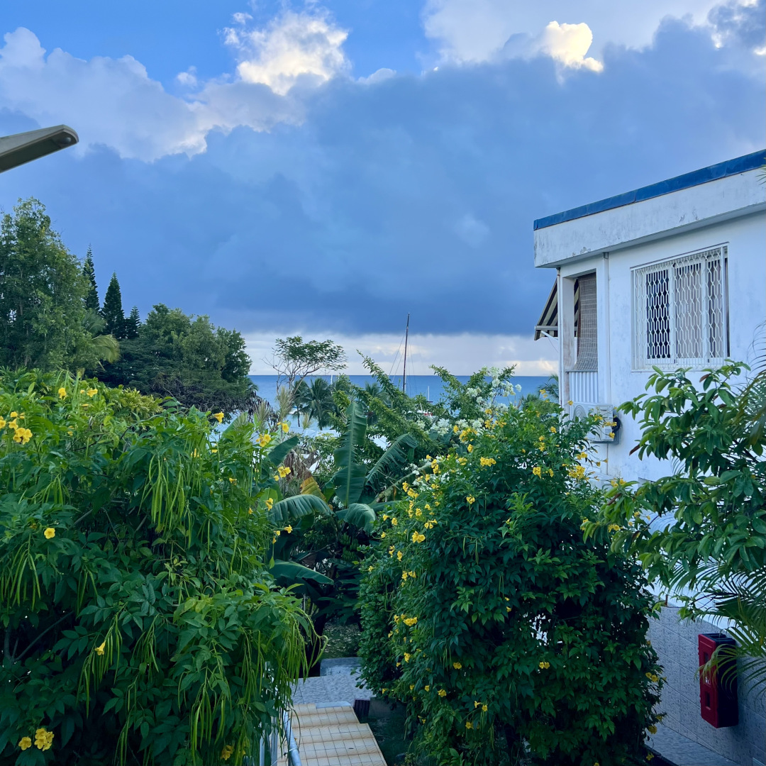 Gîte Hibiscus vue mer 23.01.2026