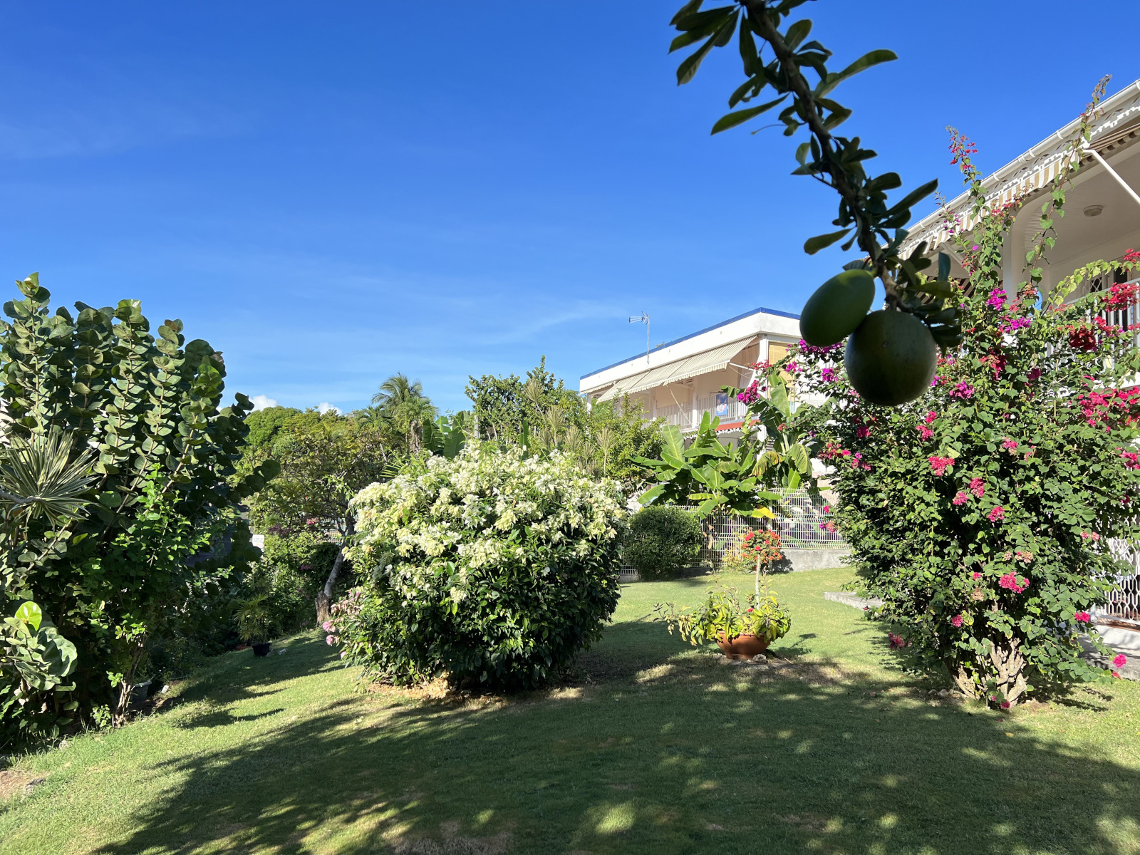 appartement Oiseau de paradis