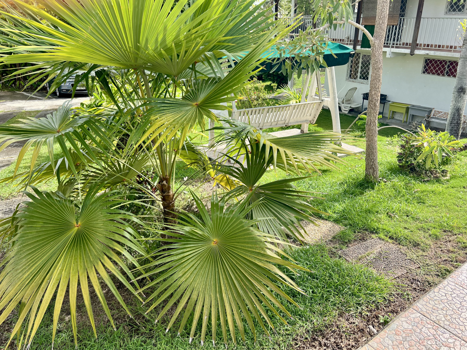 appartement Oiseau de paradis