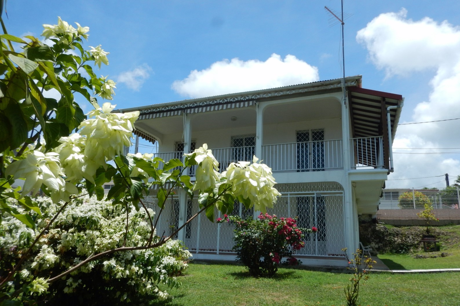 appartement Oiseau de paradis