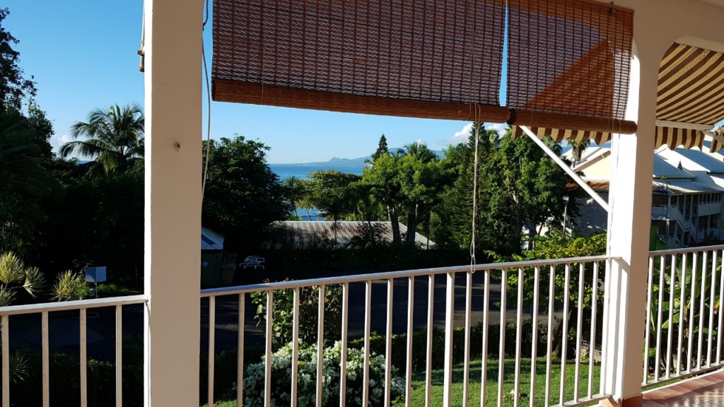 appartement Oiseau de paradis