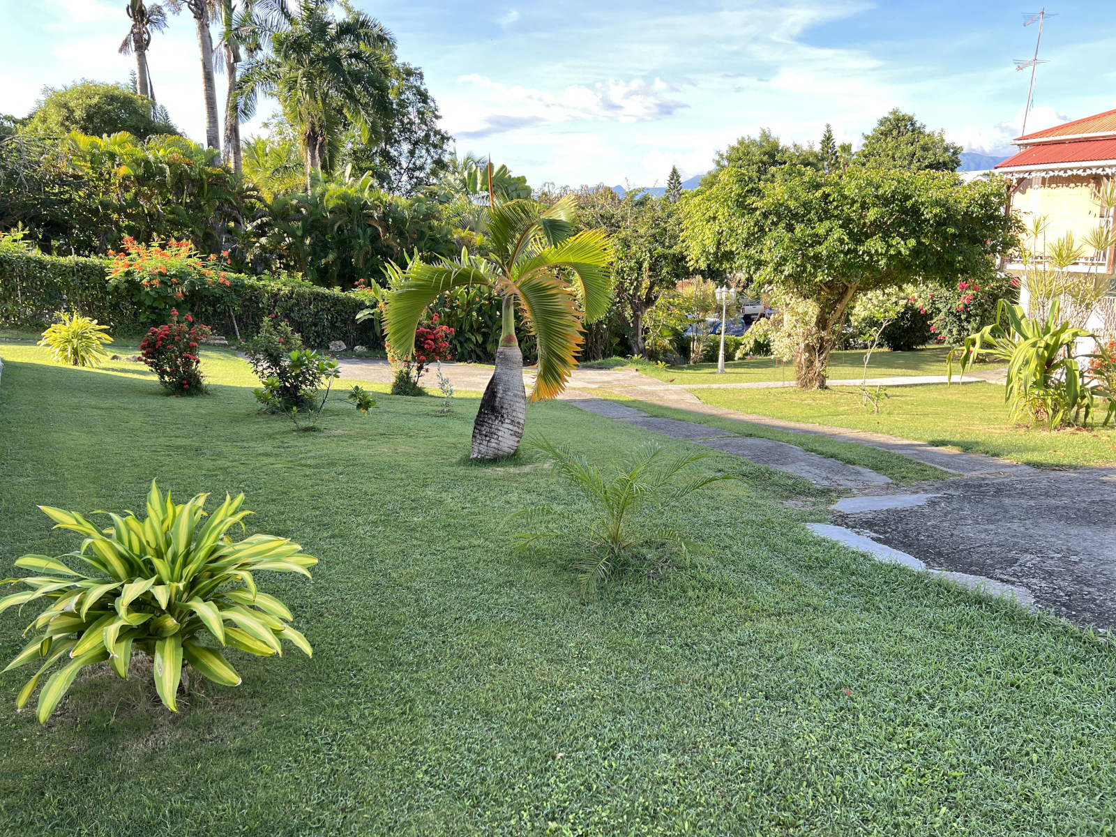 appartement Oiseau de paradis