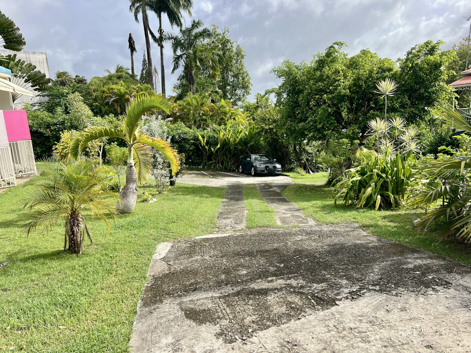 appartement Oiseau de paradis